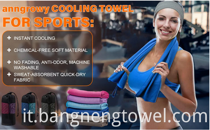 Microfiber Sport Towl